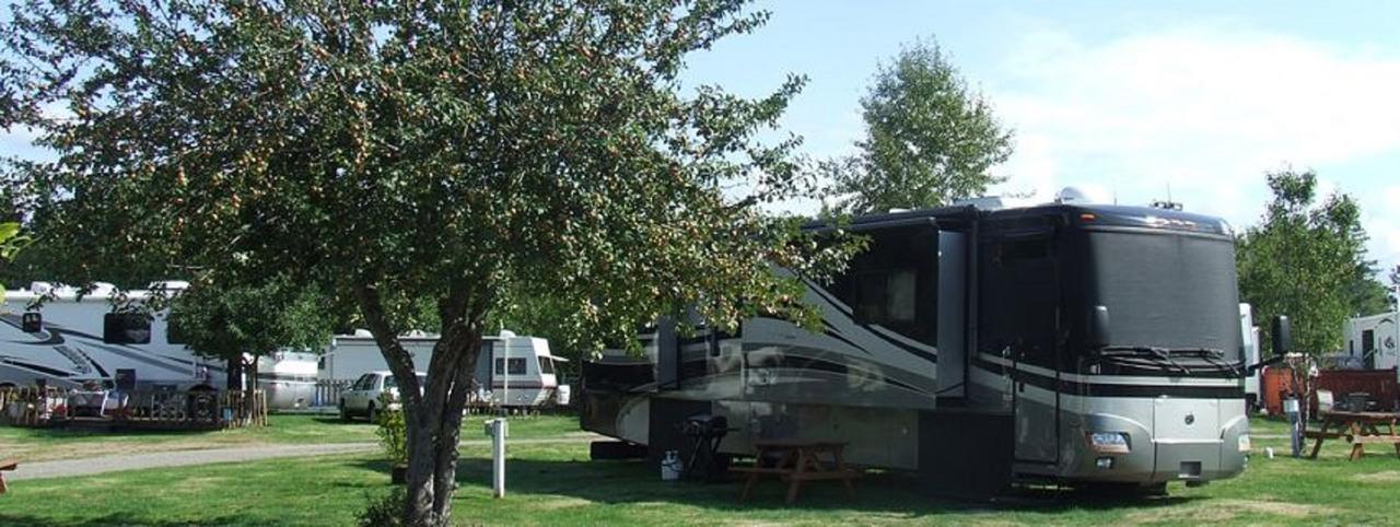 Orchard Queen Motel & Rv Park Middleton Exteriör bild